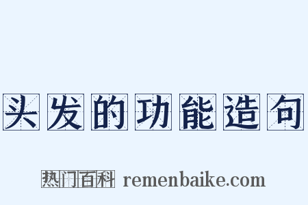 头发的功能造句是什么意思的图片